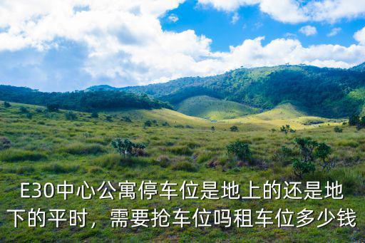 E30中心公寓停車位是地上的還是地下的平時，需要搶車位嗎租車位多少錢