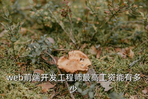 web前端開發工程師最高工資能有多少