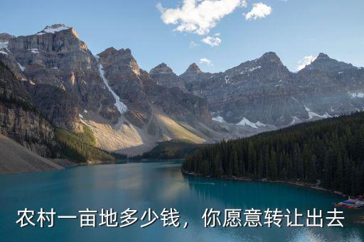 農村一畝地多少錢，你愿意轉讓出去