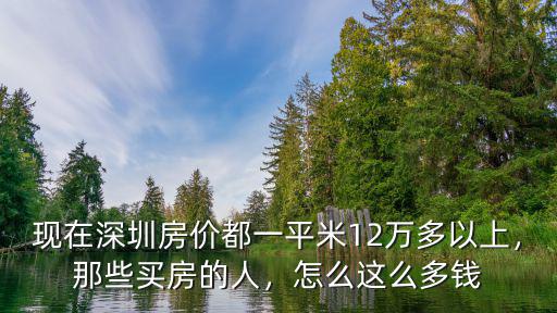 現(xiàn)在深圳房?jī)r(jià)都一平米12萬多以上，那些買房的人，怎么這么多錢