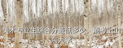 美術專業生綜合分最低多少，能考上山東大學