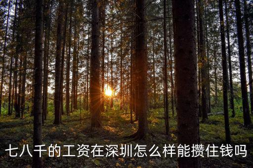 深圳多少工資過的舒服,七八千的工資在深圳怎么樣