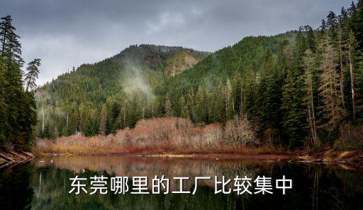 東莞工廠怎么樣的,世界工廠東莞