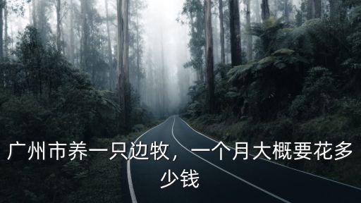 廣州馬爾濟斯多少錢一只,廣州市養一只邊牧