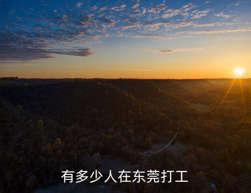 有多少人在東莞打工