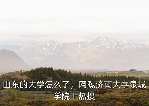 濟南大學泉城學院多少留級,山東的大學怎么了
