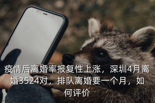 深圳離婚怎么排隊,深圳離婚排隊都要下個月了