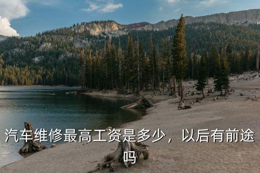 汽車(chē)維修最高工資是多少，以后有前途嗎