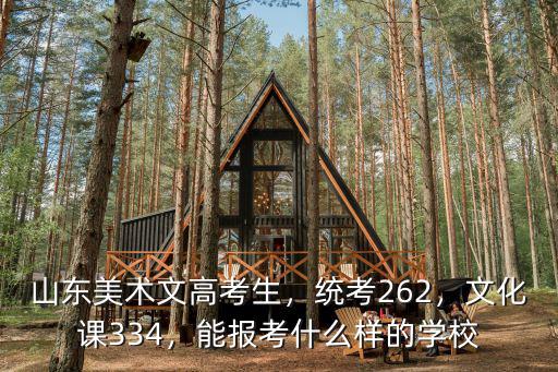 山東美術文高考生，統考262，文化課334，能報考什么樣的學校