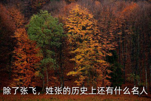 除了張飛，姓張的歷史上還有什么名人