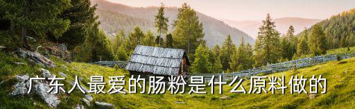 廣東人最愛的腸粉是什么原料做的
