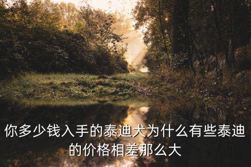 你多少錢入手的泰迪犬為什么有些泰迪的價格相差那么大