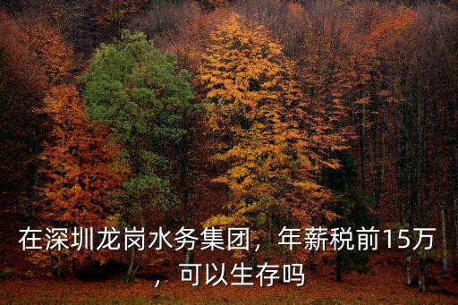 在深圳龍崗水務集團，年薪稅前15萬，可以生存嗎