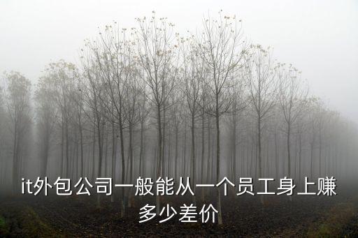 it外包公司一般能從一個員工身上賺多少差價