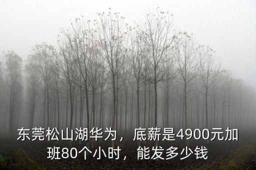 東莞工廠一小時(shí)多少錢,東莞松山湖華為