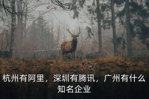 廣州市政府有多少資產,目前有多少資產