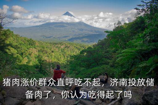 濟南儲備肉價格多少錢,濟南投放儲備肉了