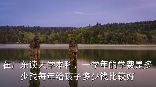廣東小學生每學年每生學費多少錢,一學年的學費是多少錢
