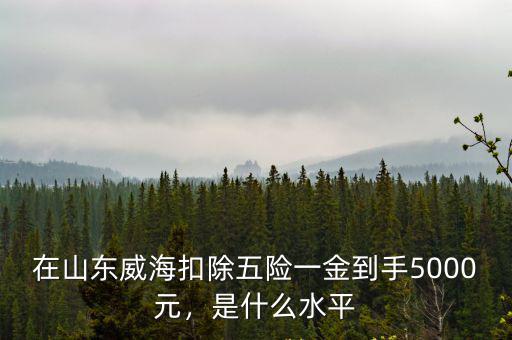 在山東威海扣除五險(xiǎn)一金到手5000元，是什么水平