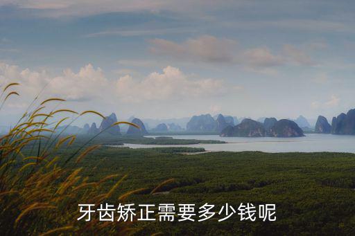 牙齒矯正需要多少錢呢