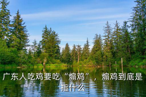 廣東人吃雞腰子怎么吃,廣東人吃雞要吃煽雞