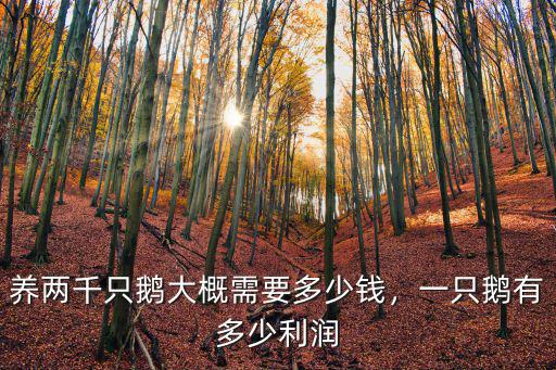 浙江小鵝多少錢一只,一只鵝有多少利潤