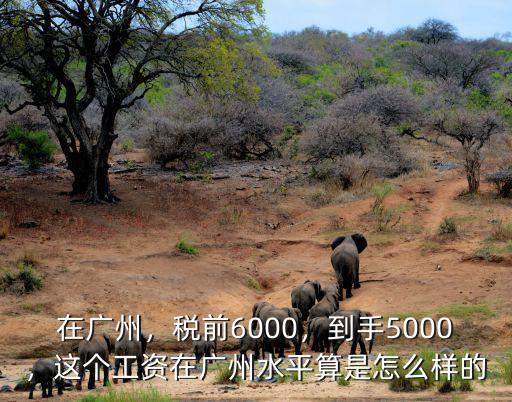 28000稅前多少錢廣州,稅前6000