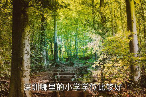 深圳錦興小學怎么樣,深圳哪里的小學學位比較好