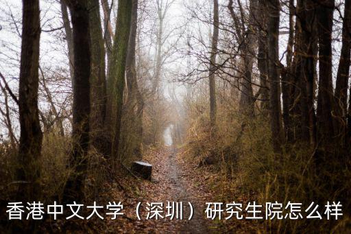 香港中文大學深圳研究生畢業就業怎么樣,香港中文大學