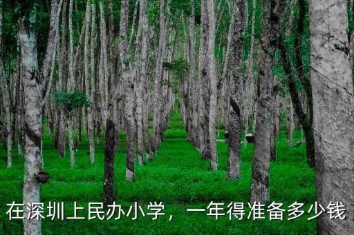 在深圳上民辦小學(xué)，一年得準(zhǔn)備多少錢