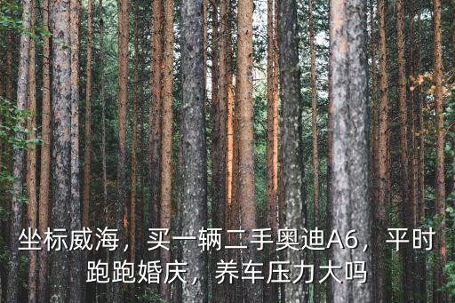 威海一般婚慶多少錢,平時跑跑婚慶