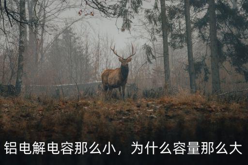 廣州大容量鋁電解電容多少錢,鋁電解電容那么小