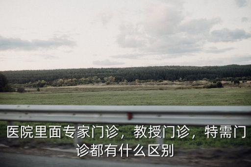 中山醫院特需專家門診多少錢,醫院里面專家門診