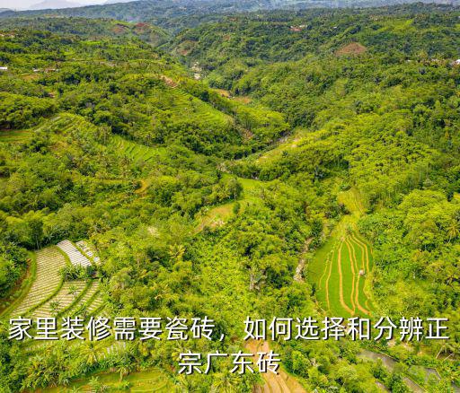 家里裝修需要瓷磚，如何選擇和分辨正宗廣東磚