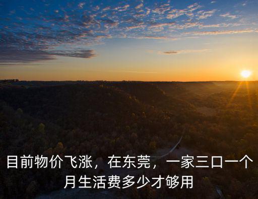 目前物價飛漲，在東莞，一家三口一個月生活費多少才夠用