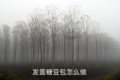 發面糖豆包怎么做