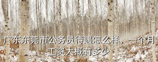 廣東東莞市公務員待遇怎么樣，一個月工資大概有多少
