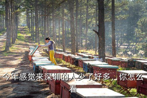 今年感覺來深圳的人少了好多，你怎么看