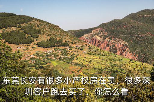 東莞長安有很多小產權房在賣，很多深圳客戶跑去買了，你怎么看