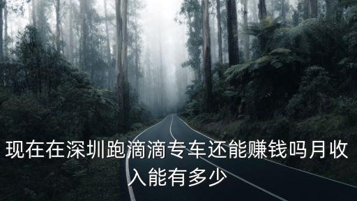 深圳跑滴滴要交多少錢,在深圳跑滴滴