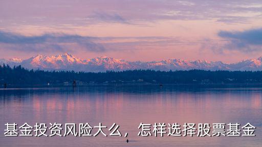 深圳起圓投資基金怎么樣,怎樣選擇股票基金