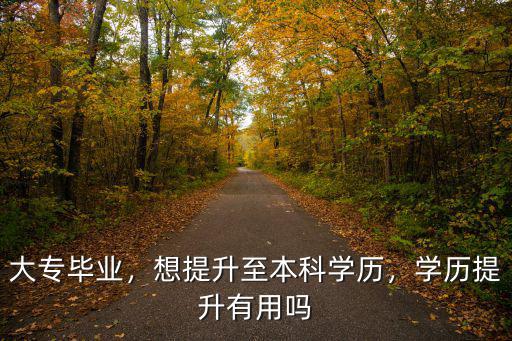 大專畢業，想提升至本科學歷，學歷提升有用嗎