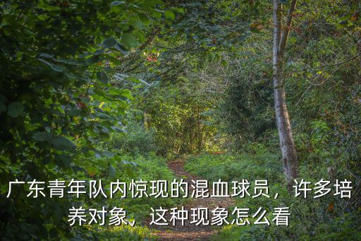 廣東青年隊內(nèi)驚現(xiàn)的混血球員，許多培養(yǎng)對象，這種現(xiàn)象怎么看