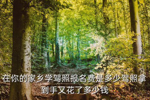 在你的家鄉(xiāng)學(xué)駕照報名費是多少駕照拿到手又花了多少錢