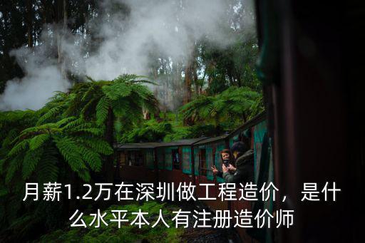 深圳注冊咨詢師工資多少,注冊會計師一般工資多少