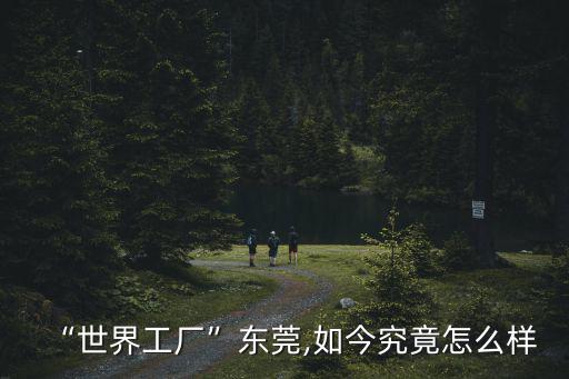 東莞蜂窩工廠怎么樣,世界工廠東莞