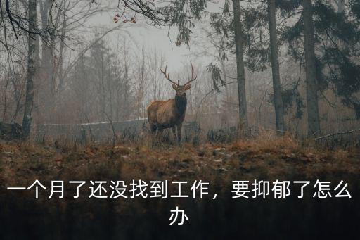一個月了還沒找到工作，要抑郁了怎么辦