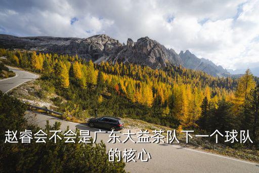廣東大益趙睿年薪多少,年薪30萬的CBA威少趙睿