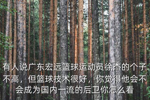 有人說廣東宏遠籃球運動員徐杰的個子不高，但籃球技術很好，你覺得他會不會成為國內一流的后衛你怎么看