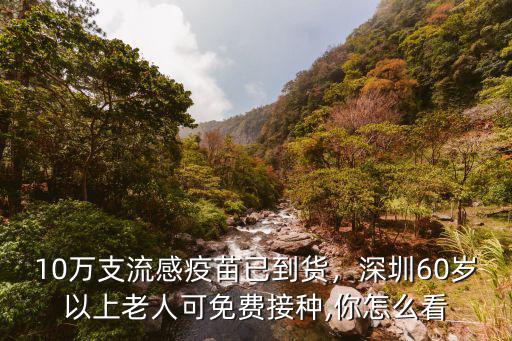 10萬支流感疫苗已到貨，深圳60歲以上老人可免費接種,你怎么看